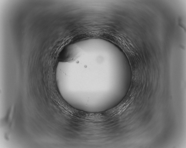 X0000096151201200801180821