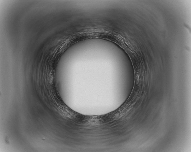 X0000096151204200801180822