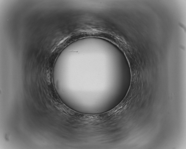 X0000096151205200801180822