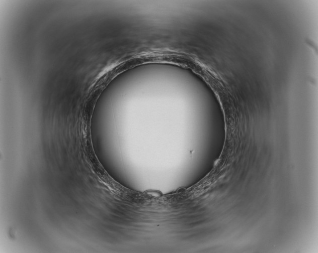 X0000096151206200801180822