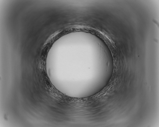 X0000096151207200801180822