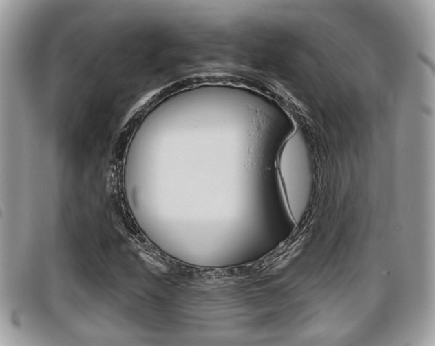 X0000096151208200801180822