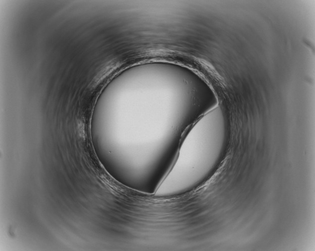 X0000096151209200801180822