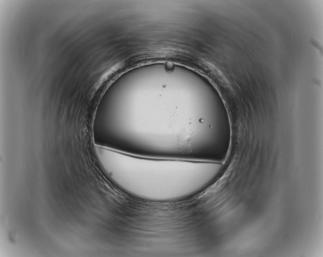 X0000096151210200801180822