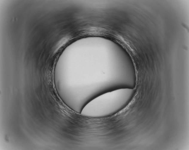 X0000096151211200801180822