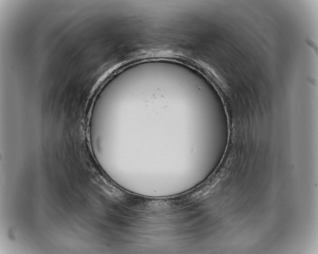 X0000096151212200801180822
