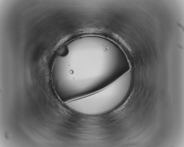 X0000096151213200801180822