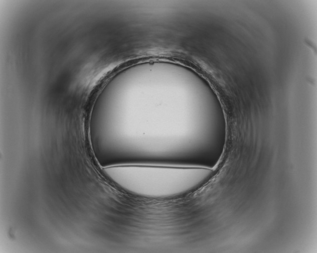 X0000096151214200801180822