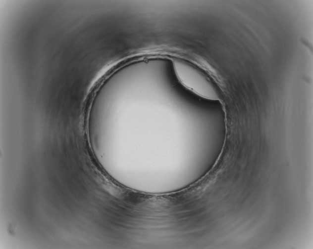X0000096151216200801180822