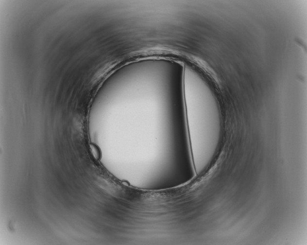 X0000096151217200801180822