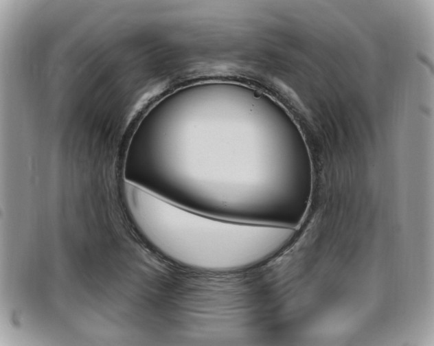 X0000096151218200801180822
