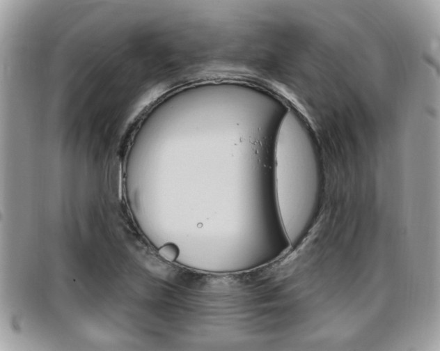 X0000096151219200801180822