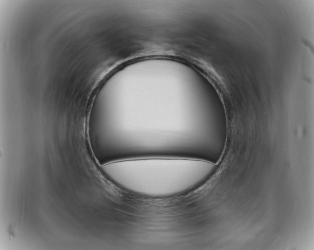 X0000096151220200801180822