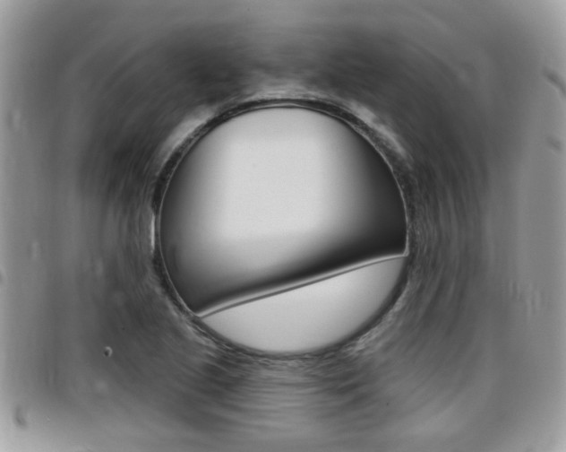 X0000096151221200801180822