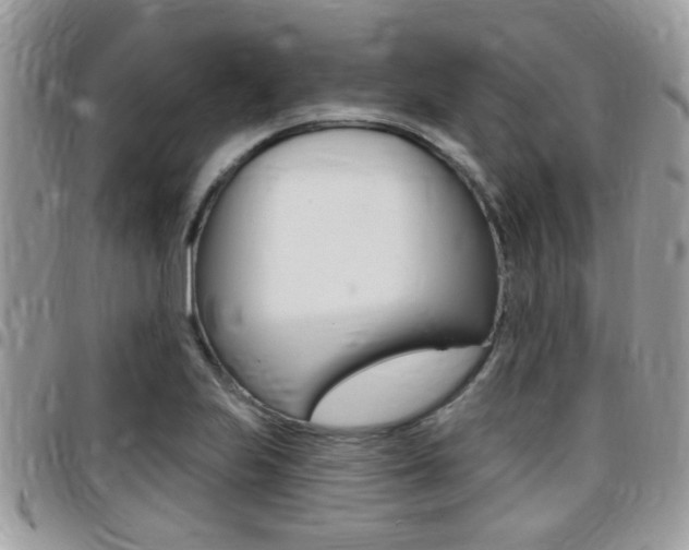 X0000096151223200801180822