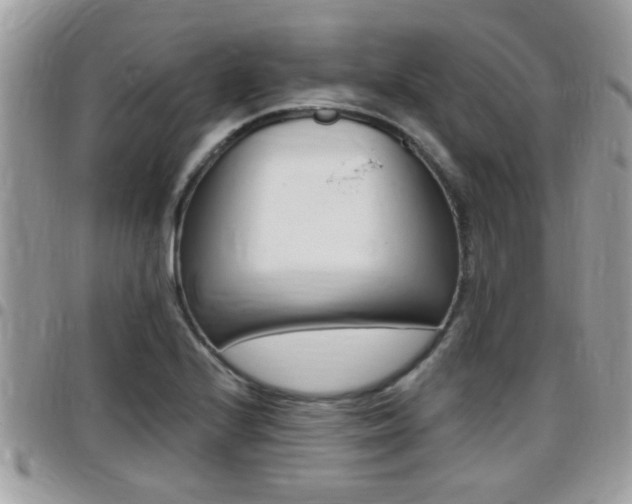 X0000096151224200801180822