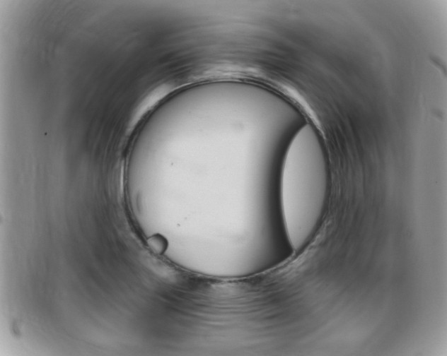X0000096151227200801180822