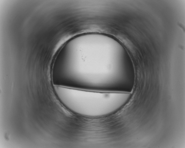 X0000096151230200801180822