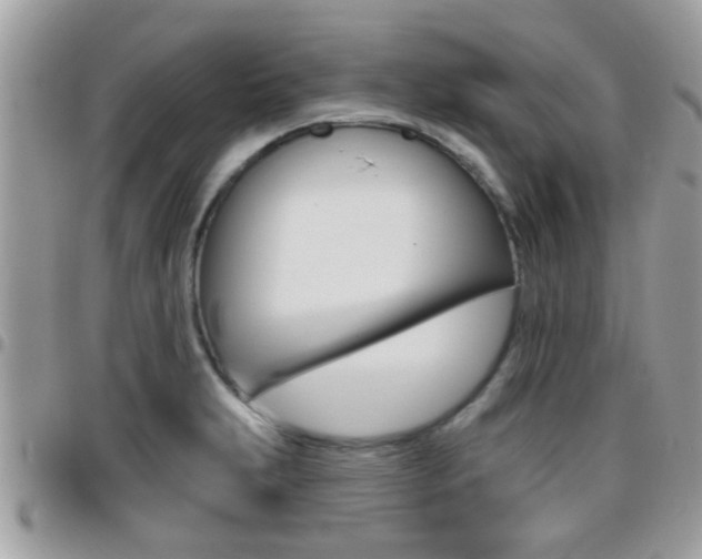 X0000096151231200801180822