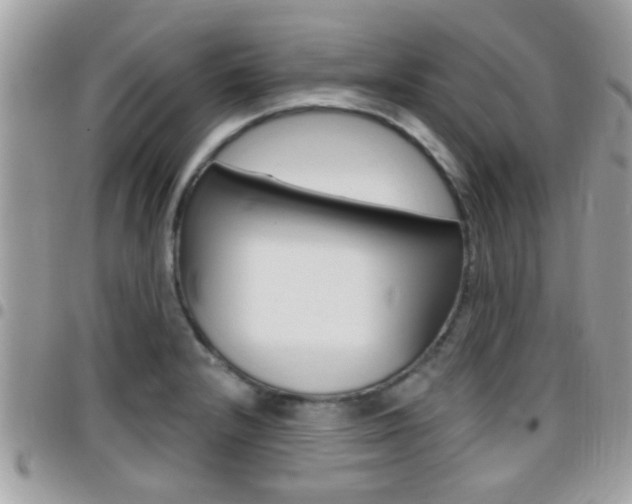 X0000096151232200801180822