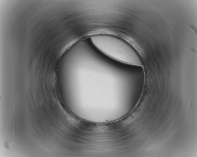 X0000096151233200801180822