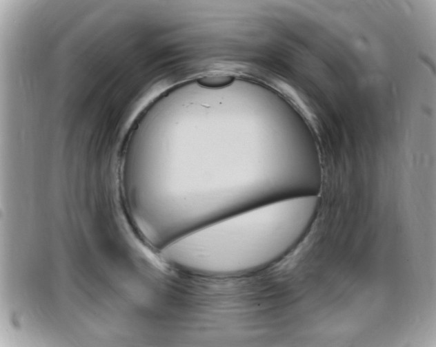 X0000096151235200801180822