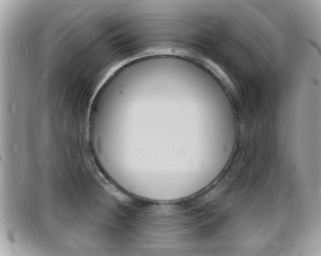 X0000096151236200801180822