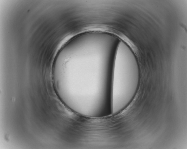 X0000096151240200801180822