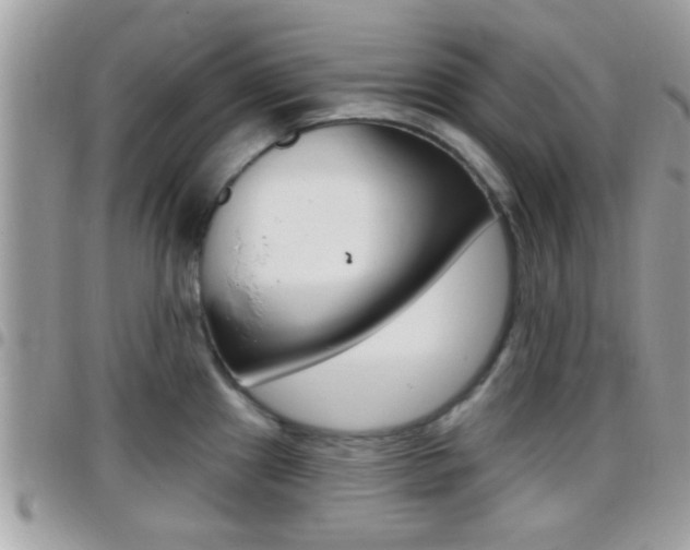 X0000096151241200801180822