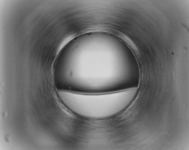 X0000096151242200801180822