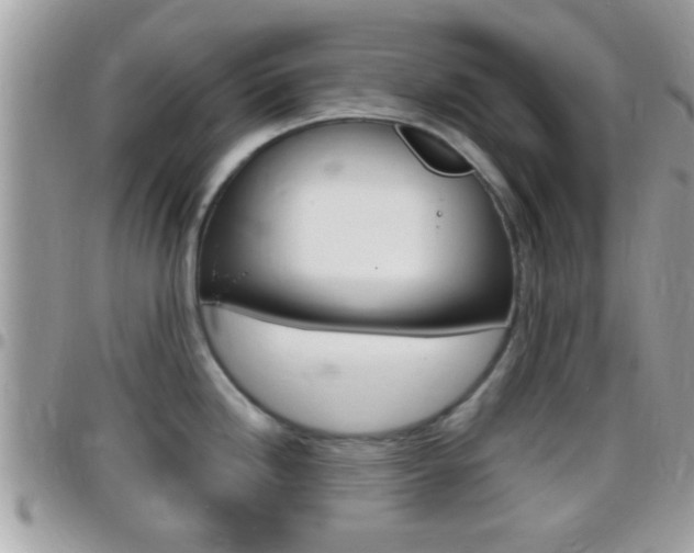 X0000096151246200801180822