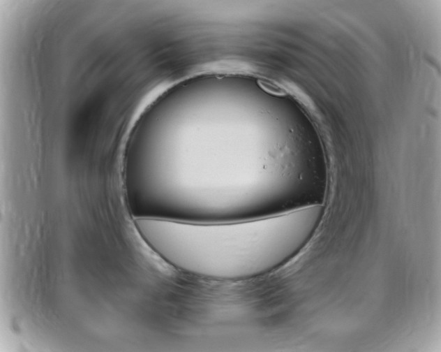 X0000096151248200801180822