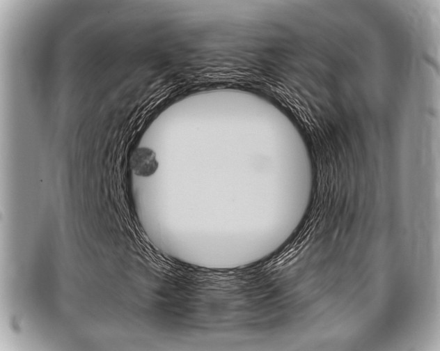 X0000096151249200801180821