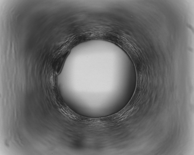 X0000096151250200801180821