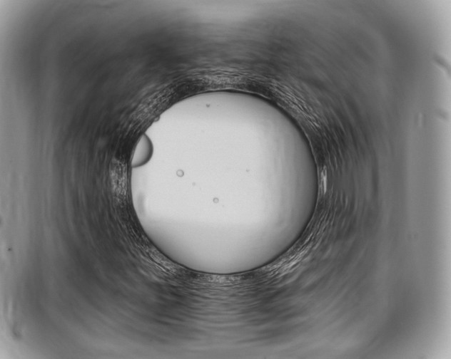 X0000096151251200801180821