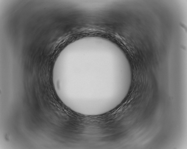 X0000096151253200801180821