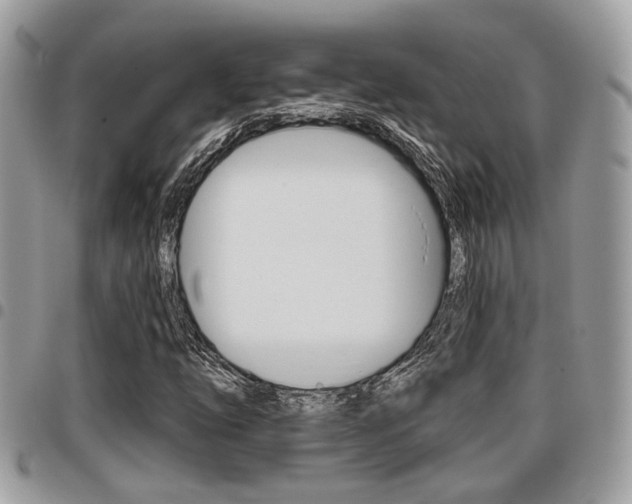 X0000096151254200801180821