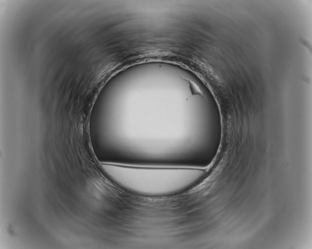 X0000096151257200801180821