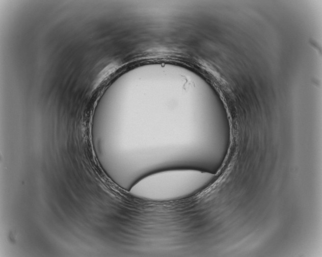 X0000096151259200801180821
