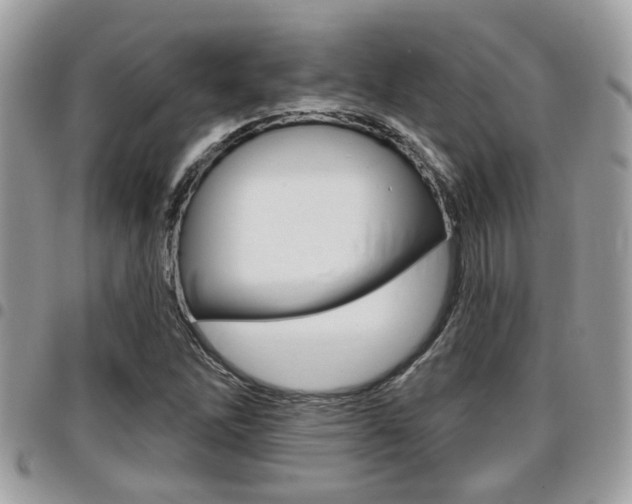 X0000096151262200801180821