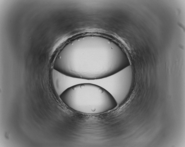 X0000096151263200801180821