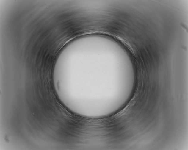 X0000096151265200801180821