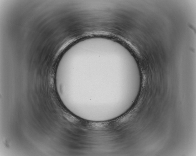 X0000096151266200801180821