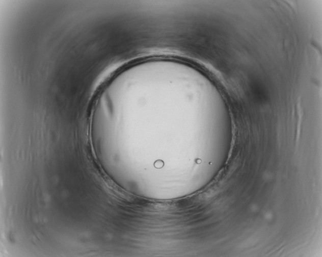 X0000096151271200801180821
