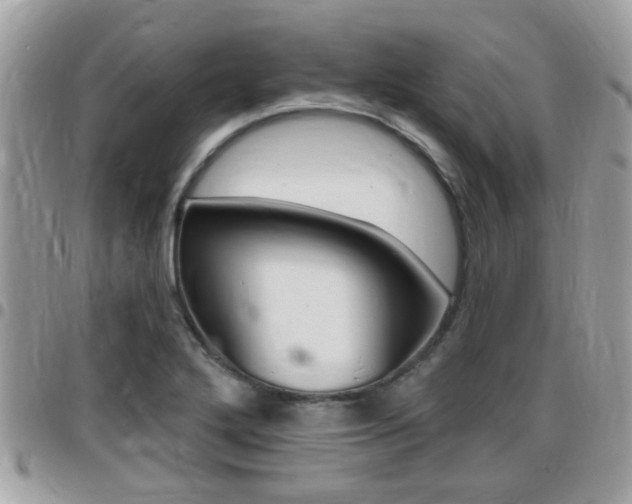 X0000096151272200801180821