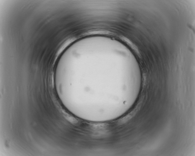 X0000096151274200801180821