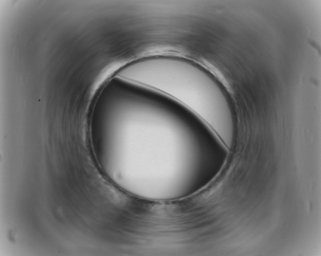 X0000096151277200801180821
