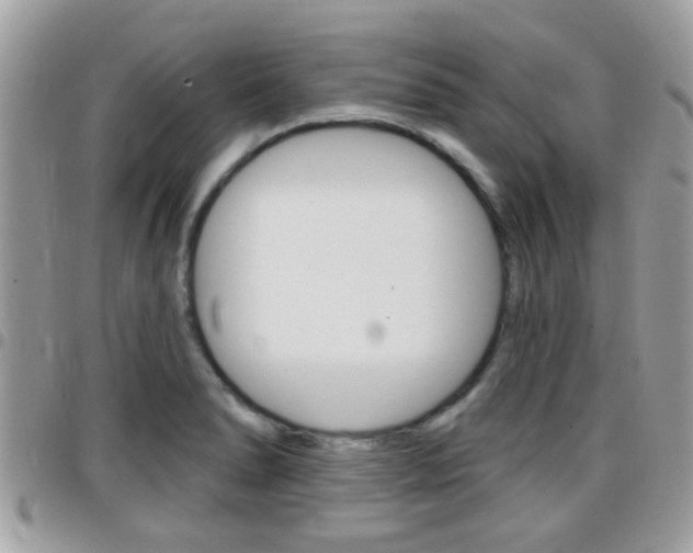 X0000096151278200801180821