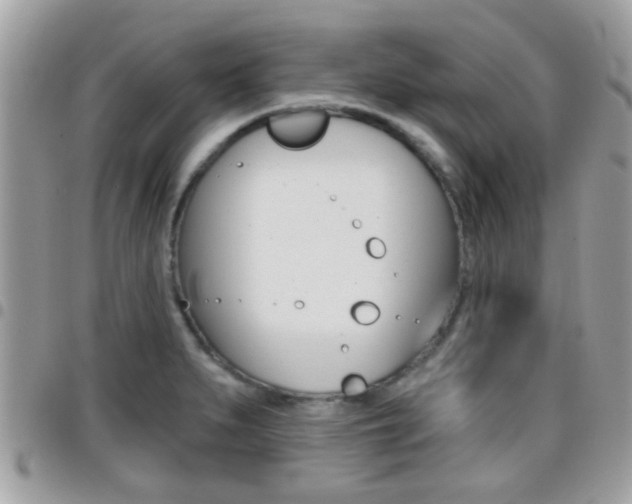 X0000096151279200801180821