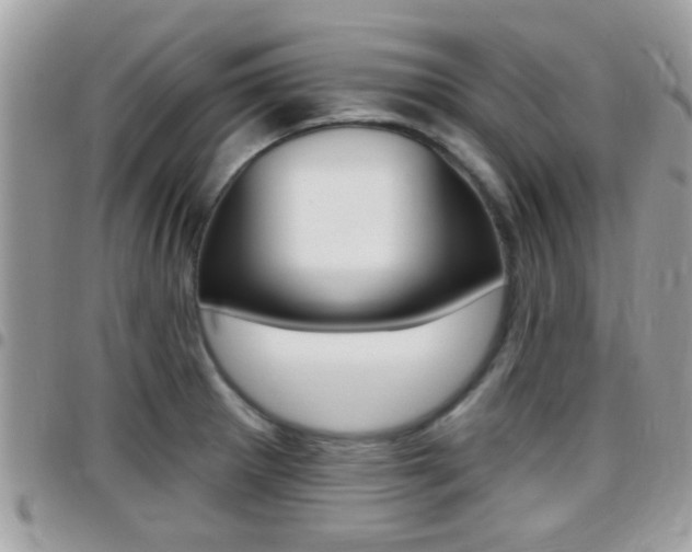 X0000096151281200801180821